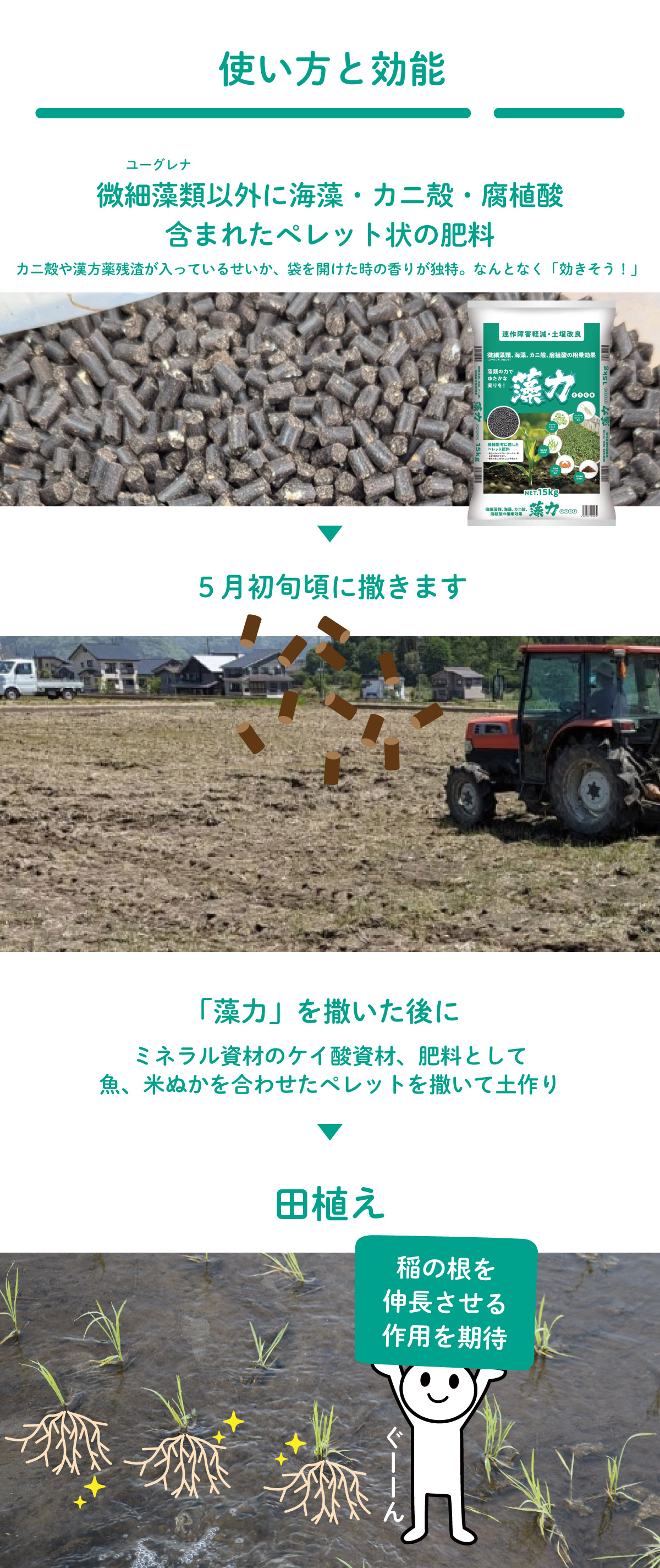 ユーグレナ肥料の使い方と効能