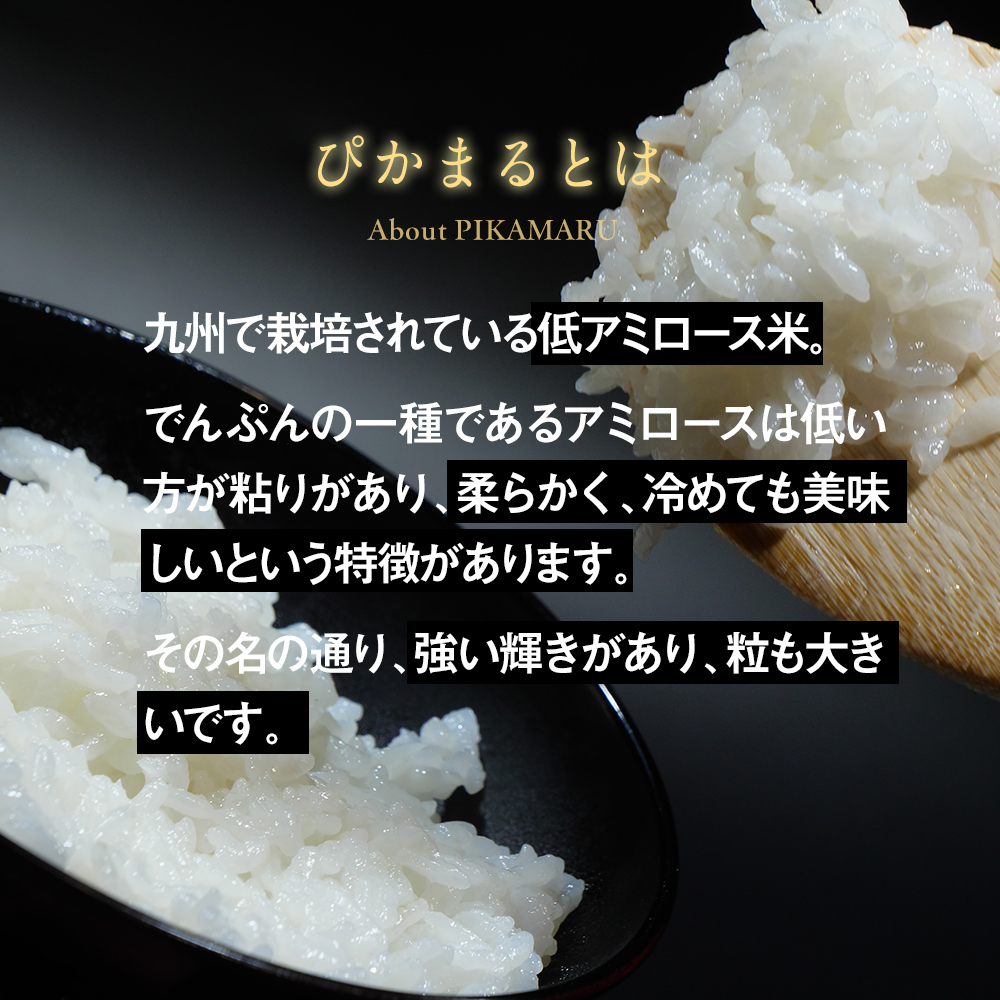 ぴかまるとは？